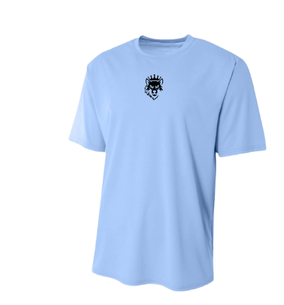 Dri Fit shirt