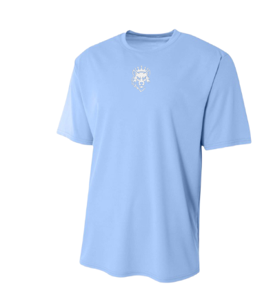 Dri Fit shirt
