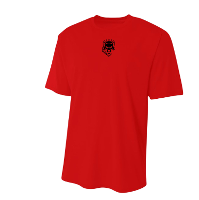 Dri Fit shirt