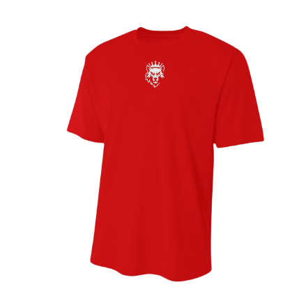 Dri Fit shirt