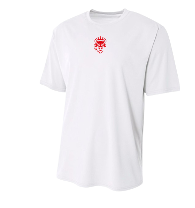 Dri Fit shirt