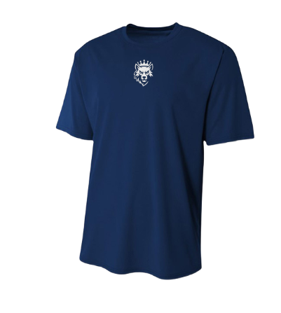 Dri Fit shirt