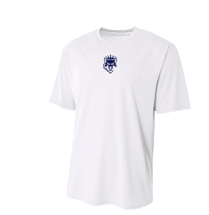 Dri Fit shirt