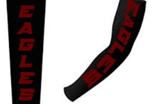Eagles Arm Sleeve