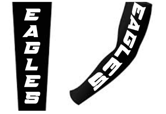 Eagles Arm Sleeve